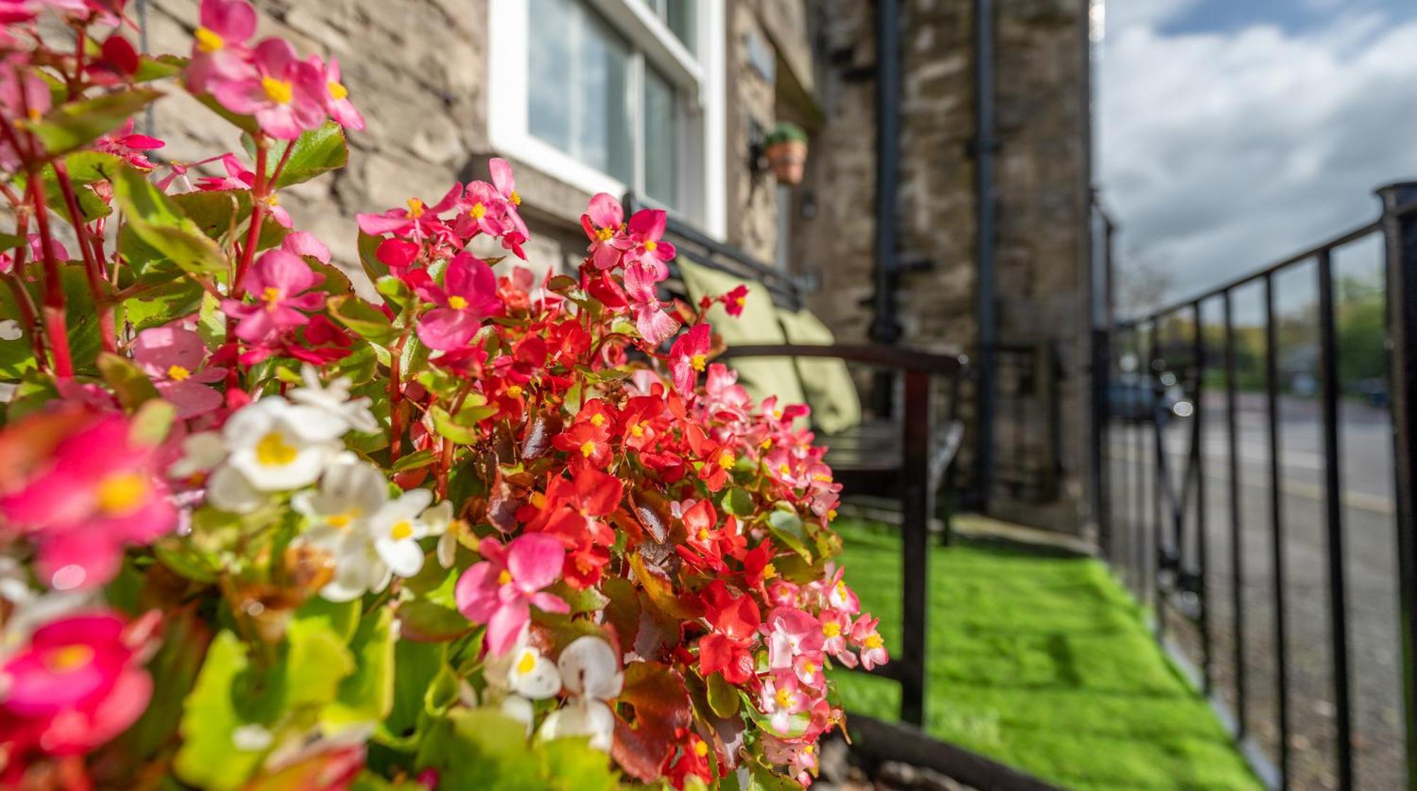 Wee Toad Hole Heart Of Kendal - Cottage Sleeps 4-6 - Dogs Welcome Esterno foto
